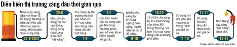 Phải chấm dứt bất ổn về xăng dầu - Ảnh 4. Phải chấm dứt bất ổn về xăng dầu - Ảnh 4.