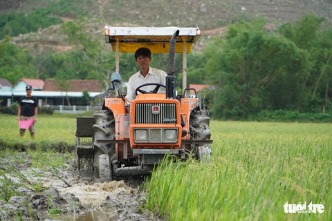 Thú vị xem nông dân xứ Quảng tranh tài cày ruộng - Ảnh 2. Thú vị xem nông dân xứ Quảng tranh tài cày ruộng - Ảnh 2.