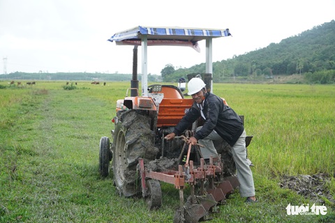 Thú vị xem nông dân xứ Quảng tranh tài cày ruộng - Ảnh 4. Thú vị xem nông dân xứ Quảng tranh tài cày ruộng - Ảnh 4.