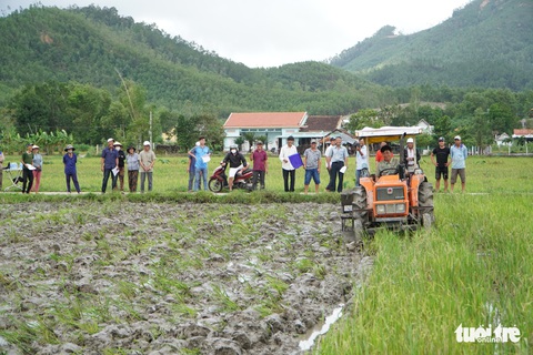 Thú vị xem nông dân xứ Quảng tranh tài cày ruộng - Ảnh 7. Thú vị xem nông dân xứ Quảng tranh tài cày ruộng - Ảnh 7.