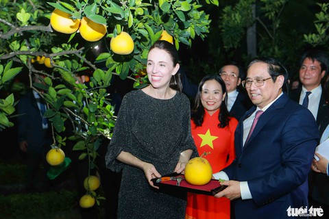 Thủ tướng Phạm Minh Chính hái bưởi Diễn tặng Thủ tướng New Zealand Jacinda Ardern - Ảnh 4. Thủ tướng Phạm Minh Chính hái bưởi Diễn tặng Thủ tướng New Zealand Jacinda Ardern - Ảnh 4.