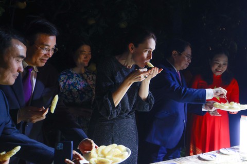 Thủ tướng Phạm Minh Chính hái bưởi Diễn tặng Thủ tướng New Zealand Jacinda Ardern - Ảnh 6. Thủ tướng Phạm Minh Chính hái bưởi Diễn tặng Thủ tướng New Zealand Jacinda Ardern - Ảnh 6.