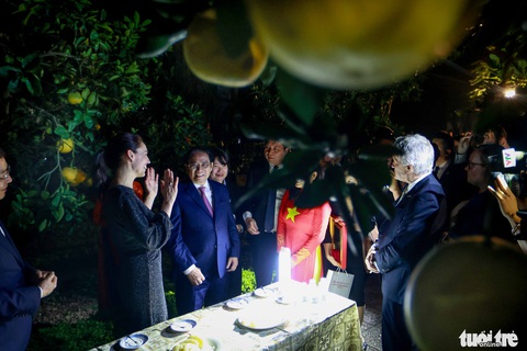 Thủ tướng Phạm Minh Chính hái bưởi Diễn tặng Thủ tướng New Zealand Jacinda Ardern - Ảnh 5. Thủ tướng Phạm Minh Chính hái bưởi Diễn tặng Thủ tướng New Zealand Jacinda Ardern - Ảnh 5.