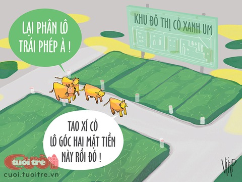 Khu đô thị xanh cỏ - Ảnh 1. Khu đô thị xanh cỏ - Ảnh 1.