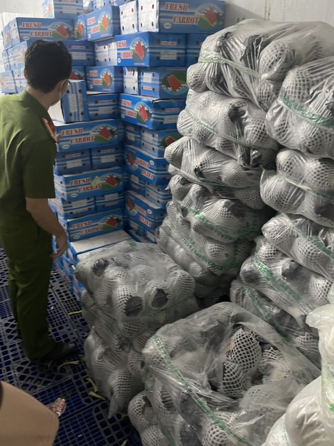 Công an TP.HCM phát hiện một công ty mua 11,7 tấn rau củ trôi nổi trên thị trường - Ảnh 1. Công an TP.HCM phát hiện một công ty mua 11,7 tấn rau củ trôi nổi trên thị trường - Ảnh 1.