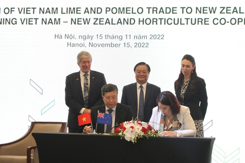 Chanh, bưởi của Việt Nam chính thức sang New Zealand - Ảnh 1. Chanh, bưởi của Việt Nam chính thức sang New Zealand - Ảnh 1.