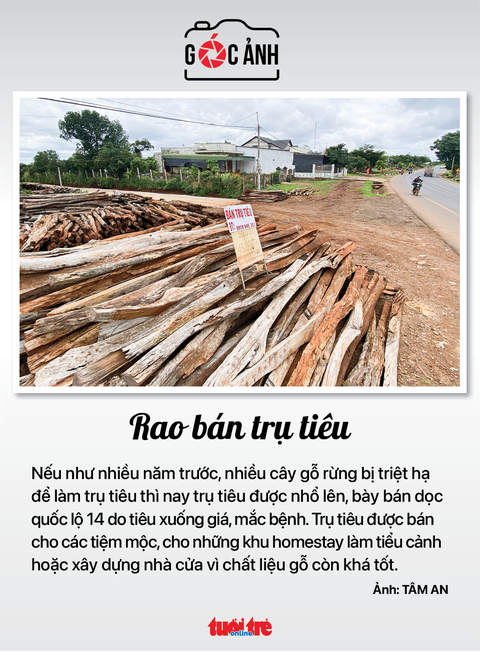 Tin sáng 16-11: Chuẩn bị lấy ý kiến nhân dân về Luật đất đai sửa đổi; Hội nghị kết nối cung cầu - Ảnh 9. Tin sáng 16-11: Chuẩn bị lấy ý kiến nhân dân về Luật đất đai sửa đổi; Hội nghị kết nối cung cầu - Ảnh 9.