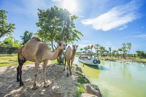 Bùng nổ chuỗi sự kiện đẳng cấp thế giới chào đón mùa lễ hội lớn nhất trong năm - Ảnh 4. Bùng nổ chuỗi sự kiện đẳng cấp thế giới chào đón mùa lễ hội lớn nhất trong năm - Ảnh 4.