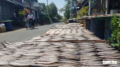 Ngư dân biên giới vào mùa làm khô cá đồng - Ảnh 3. Ngư dân biên giới vào mùa làm khô cá đồng - Ảnh 3.