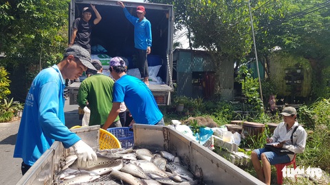 Ngư dân biên giới vào mùa làm khô cá đồng - Ảnh 4. Ngư dân biên giới vào mùa làm khô cá đồng - Ảnh 4.