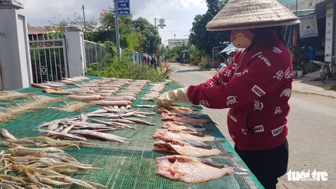 Ngư dân biên giới vào mùa làm khô cá đồng - Ảnh 5. Ngư dân biên giới vào mùa làm khô cá đồng - Ảnh 5.