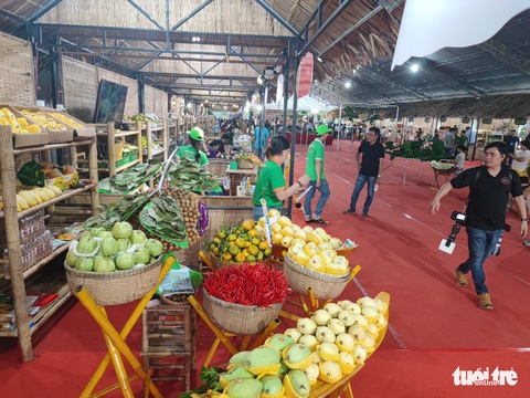 Tin sáng 19-11: Ô tô tăng giá do biến động tỉ giá; Thu hồi sáu lô thuốc Greaxim - Ảnh 5. Tin sáng 19-11: Ô tô tăng giá do biến động tỉ giá; Thu hồi sáu lô thuốc Greaxim - Ảnh 5.