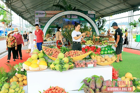 Đưa xoài Sơn La vào các thị trường - Ảnh 1. Đưa xoài Sơn La vào các thị trường - Ảnh 1.