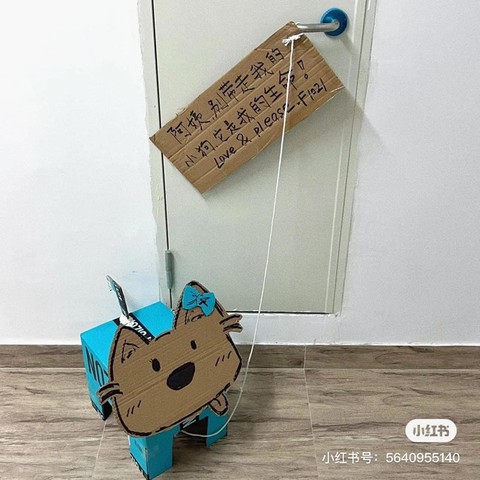 Sinh viên lách luật cấm nuôi thú cưng trong ký túc xá bằng... chó giấy - Ảnh 5. Sinh viên lách luật cấm nuôi thú cưng trong ký túc xá bằng... chó giấy - Ảnh 5.