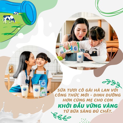 Cô Gái Hà Lan - Cải tiến từ dinh dưỡng trong bao bì giấy nâu - Ảnh 1. Cô Gái Hà Lan - Cải tiến từ dinh dưỡng trong bao bì giấy nâu - Ảnh 1.