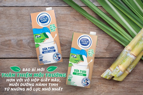 Cô Gái Hà Lan - Cải tiến từ dinh dưỡng trong bao bì giấy nâu - Ảnh 2. Cô Gái Hà Lan - Cải tiến từ dinh dưỡng trong bao bì giấy nâu - Ảnh 2.