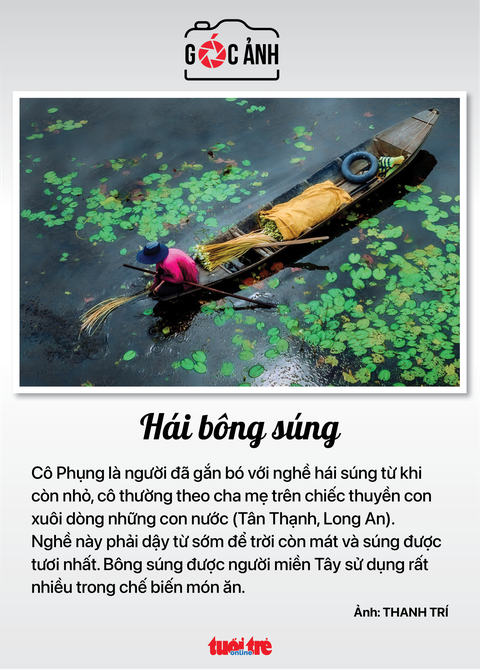 Tin sáng 20-11: Đề nghị tăng phụ cấp cho hàng triệu giáo viên; 9 tháng phát hiện 76.000 ca mắc lao - Ảnh 4. Tin sáng 20-11: Đề nghị tăng phụ cấp cho hàng triệu giáo viên; 9 tháng phát hiện 76.000 ca mắc lao - Ảnh 4.