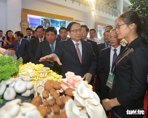 Thủ tướng: Năm 2030, thu nhập người dân Tây Nguyên đạt 5.000 USD - Ảnh 1. Thủ tướng: Năm 2030, thu nhập người dân Tây Nguyên đạt 5.000 USD - Ảnh 1.