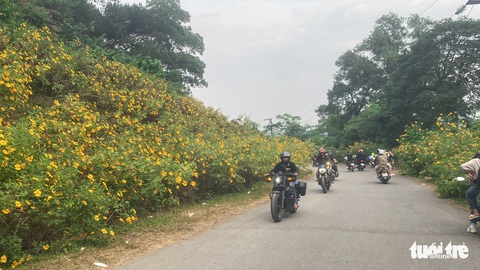 Rủ nhau lên núi ngắm hoa dã quỳ nở rộ, rời xa khói bụi về miền an yên - Ảnh 7. Rủ nhau lên núi ngắm hoa dã quỳ nở rộ, rời xa khói bụi về miền an yên - Ảnh 7.