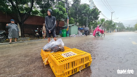 Mưa lớn kéo dài tại Quy Nhơn, xe máy và người đi đường bị nước cuốn - Ảnh 9. Mưa lớn kéo dài tại Quy Nhơn, xe máy và người đi đường bị nước cuốn - Ảnh 9.