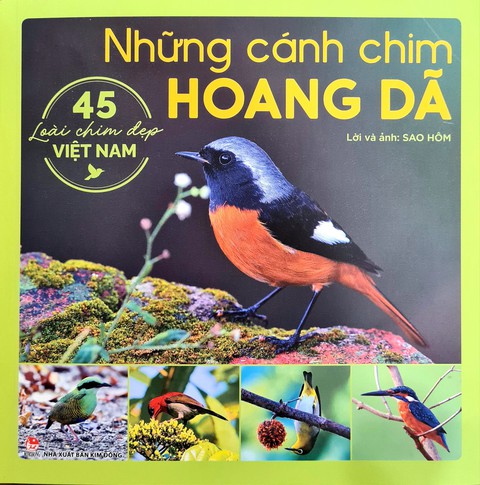 45 cánh chim đẹp như bay ra từ cổ tích, đậu lại trên đất Việt - Ảnh 4. 45 cánh chim đẹp như bay ra từ cổ tích, đậu lại trên đất Việt - Ảnh 4.