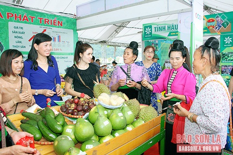 Sơn La hội tụ và phát triển - Ảnh 1. Sơn La hội tụ và phát triển - Ảnh 1.