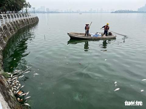 Chuyên gia: Cá chết ở hồ Tây là báo động, tại sao cứ để xảy ra rồi chính quyền mới vào cuộc?’ - Ảnh 4. Chuyên gia: Cá chết ở hồ Tây là báo động, tại sao cứ để xảy ra rồi chính quyền mới vào cuộc?’ - Ảnh 4.