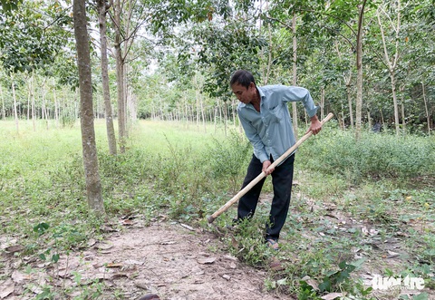 Tây Ninh thúc đẩy chuyển đổi số trong lĩnh vực nông nghiệp - Ảnh 2.