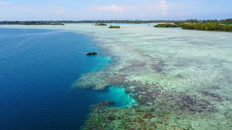 Indonesia sắp bán đấu giá một số đảo không có người ở - Ảnh 3. Indonesia sắp bán đấu giá một số đảo không có người ở - Ảnh 3.