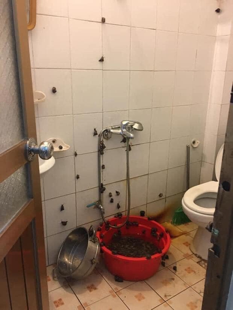 Ảnh vui 26-11: Bảng rao hàng hóm hỉnh của chủ sạp rau - Ảnh 3. Ảnh vui 26-11: Bảng rao hàng hóm hỉnh của chủ sạp rau - Ảnh 3.