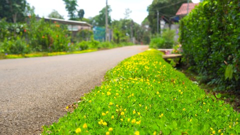 Thủ tướng Phạm Minh Chính: Đã nói là phải làm, đã cam kết phải thực hiện hiệu quả - Ảnh 4. Thủ tướng Phạm Minh Chính: Đã nói là phải làm, đã cam kết phải thực hiện hiệu quả - Ảnh 4.