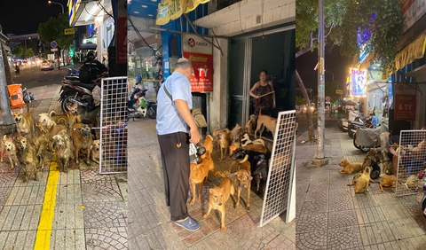 Khi hàng xóm nuôi cả trăm con chó - Ảnh 1. Khi hàng xóm nuôi cả trăm con chó - Ảnh 1.