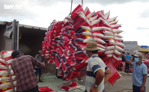 Gạo Việt cần thương hiệu quốc gia - Ảnh 1. Gạo Việt cần thương hiệu quốc gia - Ảnh 1.
