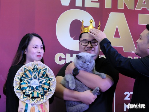 Hơn 100 bé mèo đi thi sắc đẹp quốc gia, có bé gần... 400 triệu đồng - Ảnh 7. Hơn 100 bé mèo đi thi sắc đẹp quốc gia, có bé gần... 400 triệu đồng - Ảnh 7.