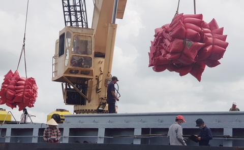 Tin tức sáng 30-12: Số ca COVID-19 tăng gấp đôi; Gần 8.000 doanh nghiệp TP.HCM khuyến mãi Tết - Ảnh 1. Tin tức sáng 30-12: Số ca COVID-19 tăng gấp đôi; Gần 8.000 doanh nghiệp TP.HCM khuyến mãi Tết - Ảnh 1.