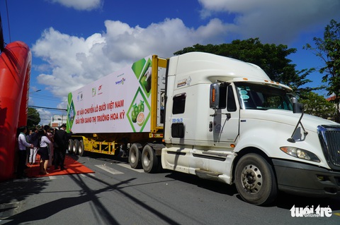 Lô bưởi da xanh đầu tiên xuất sang thị trường Mỹ - Ảnh 1. Lô bưởi da xanh đầu tiên xuất sang thị trường Mỹ - Ảnh 1.