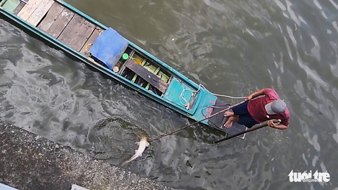 Xuyệt điện đánh bắt cá vẫn tung hoành trên kênh Nhiêu Lộc - Thị Nghè giữa ban ngày - Ảnh 3. Xuyệt điện đánh bắt cá vẫn tung hoành trên kênh Nhiêu Lộc - Thị Nghè giữa ban ngày - Ảnh 3.