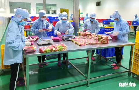 Đói đơn hàng, doanh nghiệp gặp khó - Ảnh 2. Đói đơn hàng, doanh nghiệp gặp khó - Ảnh 2.