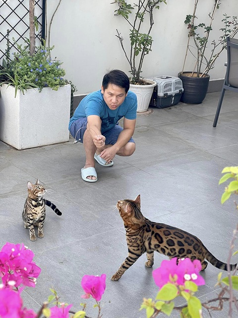 Ảnh vui sao Việt 30-11: Trọng Tấn chơi đùa cùng mèo cưng - Ảnh 1. Ảnh vui sao Việt 30-11: Trọng Tấn chơi đùa cùng mèo cưng - Ảnh 1.