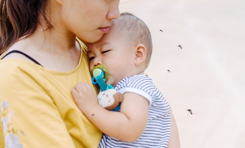 Tháng 11 vẫn là mùa cao điểm phòng chống dịch sốt xuất huyết - Ảnh 2. Tháng 11 vẫn là mùa cao điểm phòng chống dịch sốt xuất huyết - Ảnh 2.