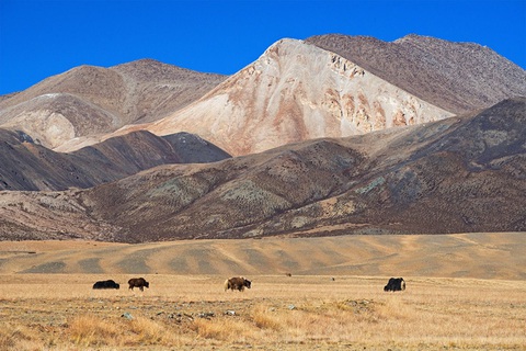 Cao nguyên Thanh Hải - Tây Tạng trên dãy Himalaya nguy cơ sụp đổ - Ảnh 1. Cao nguyên Thanh Hải - Tây Tạng trên dãy Himalaya nguy cơ sụp đổ - Ảnh 1.