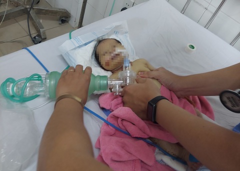 Phát hiện bé gái sơ sinh tím tái bị bỏ trong rừng, giòi bò lúc nhúc trên người - Ảnh 1. Phát hiện bé gái sơ sinh tím tái bị bỏ trong rừng, giòi bò lúc nhúc trên người - Ảnh 1.