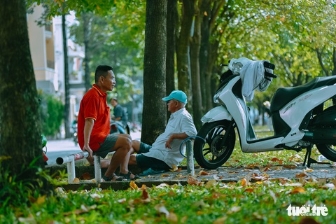 Sắc thu về bên bờ kênh Nhiêu Lộc - Thị Nghè - Ảnh 7. Sắc thu về bên bờ kênh Nhiêu Lộc - Thị Nghè - Ảnh 7.