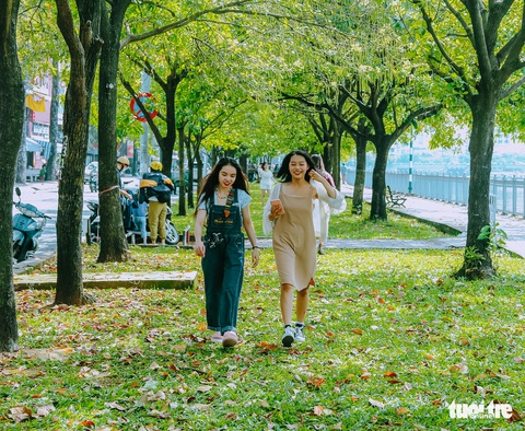 Sắc thu về bên bờ kênh Nhiêu Lộc - Thị Nghè - Ảnh 4. Sắc thu về bên bờ kênh Nhiêu Lộc - Thị Nghè - Ảnh 4.