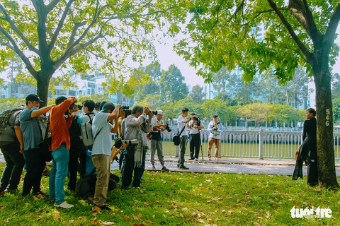 Sắc thu về bên bờ kênh Nhiêu Lộc - Thị Nghè - Ảnh 5. Sắc thu về bên bờ kênh Nhiêu Lộc - Thị Nghè - Ảnh 5.