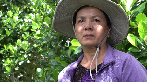 Hơn 50 năm thất lạc, người em gái tìm thấy gia đình nhưng anh trai đã không còn - Ảnh 2. Hơn 50 năm thất lạc, người em gái tìm thấy gia đình nhưng anh trai đã không còn - Ảnh 2.