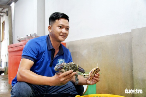 Mùa ghẹ nghịch ở Phú Quốc, đánh lưới bao nhiêu cũng không đủ bán - Ảnh 4. Mùa ghẹ nghịch ở Phú Quốc, đánh lưới bao nhiêu cũng không đủ bán - Ảnh 4.