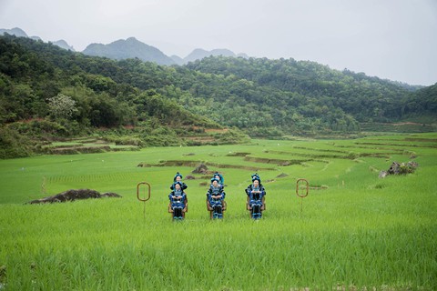 Phim và MV của Vietnam Airlines đoạt giải thưởng toàn quốc về Thông tin đối ngoại - Ảnh 5. Phim và MV của Vietnam Airlines đoạt giải thưởng toàn quốc về Thông tin đối ngoại - Ảnh 5.