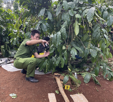 Tạm giữ bảy người trong vụ vu khống công an soi đèn cho giang hồ phá vườn cây - Ảnh 2. Tạm giữ bảy người trong vụ vu khống công an soi đèn cho giang hồ phá vườn cây - Ảnh 2.