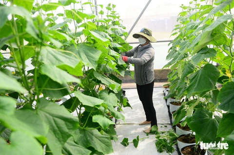 Tin sáng 9-11: Cảnh báo triều cường ven biển Nam Bộ; Mua bán nhà, căn hộ giảm mạnh - Ảnh 3. Tin sáng 9-11: Cảnh báo triều cường ven biển Nam Bộ; Mua bán nhà, căn hộ giảm mạnh - Ảnh 3.